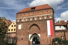 img_4736